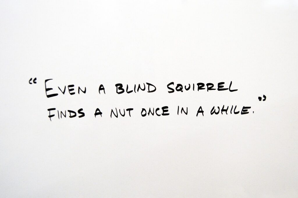 funny, idiom, expression, quote, quotation, text, whiteboard, humor, luck, blind squirrel, phrase, lucky, white, board, idiom, idiom, idiom, idiom, idiom, quotation, quotation, quotation, whiteboard, whiteboard